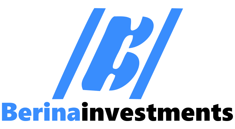 berinainvestments.com